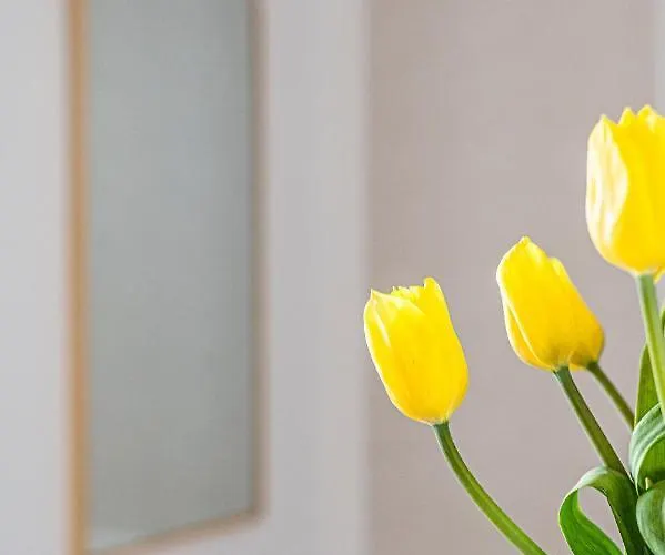 Porto - Billberry Διαμέρισμα Γκντανσκ