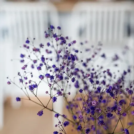 Porto - Billberry Gdansk